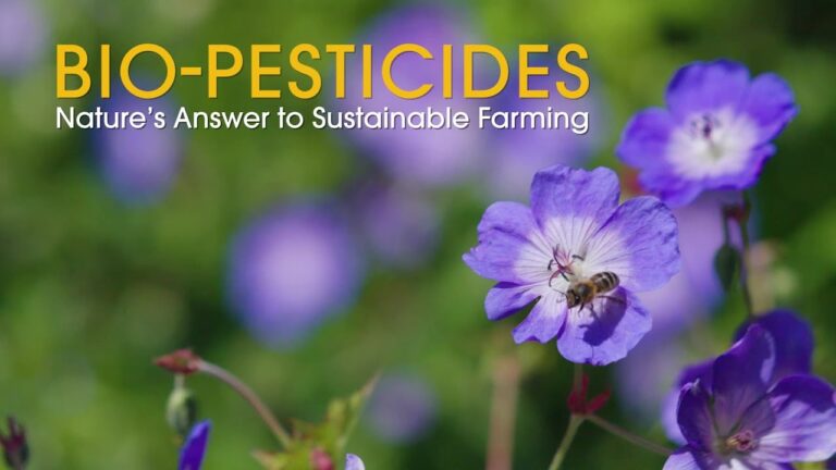 Bio-Pesticides, Nature’s Answer to Sustainable Farming | Happy Harvest