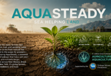 Sea Helping Land | AquaSteady
