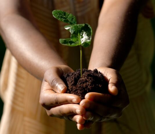 Africa’s Green Future | Restoration Done Right