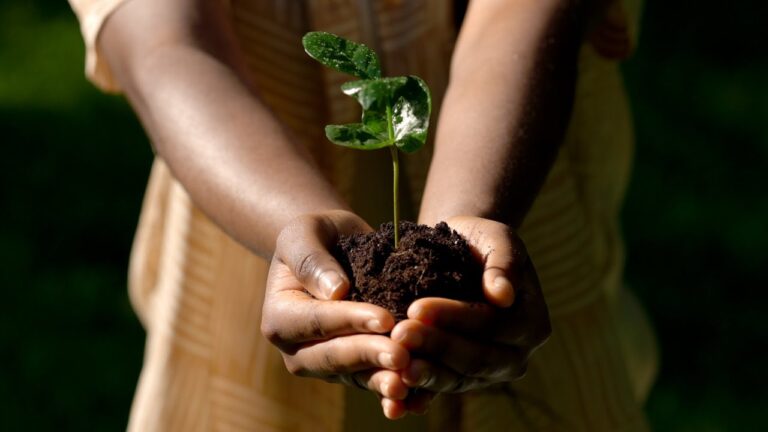 Africa’s Green Future | Restoration Done Right
